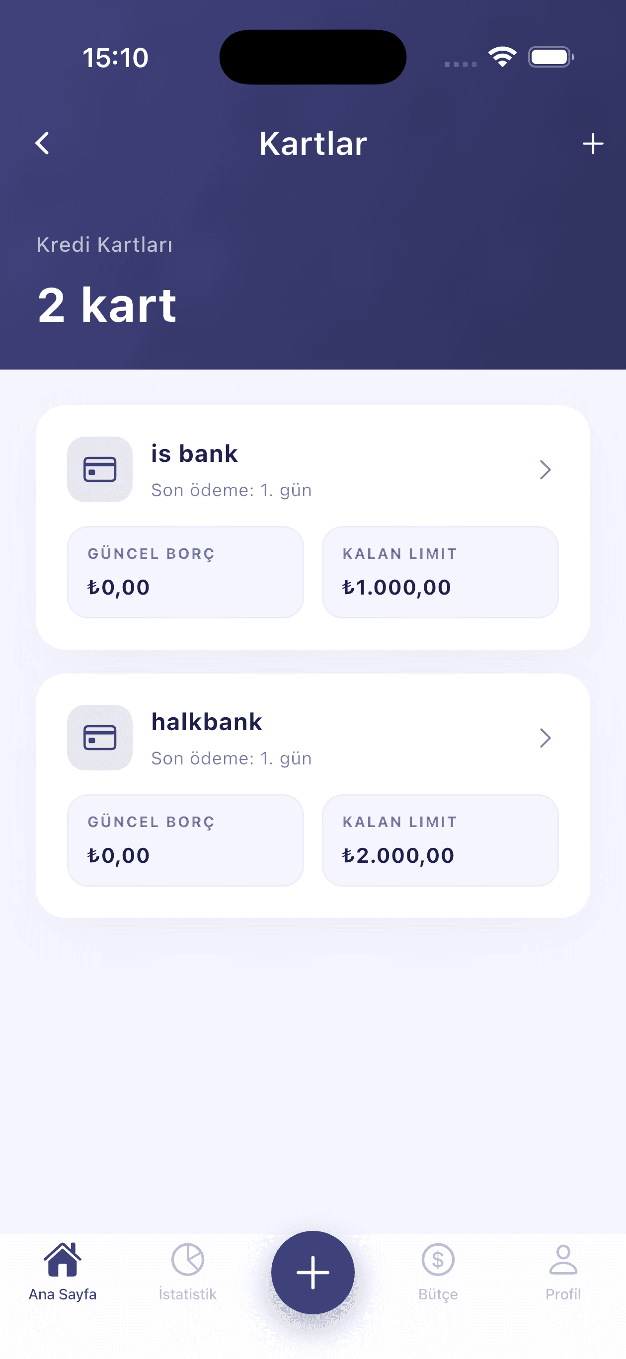 BudgetReflector istatistik ekrani